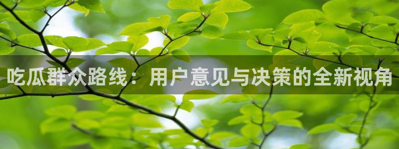 豆瓣自由吃瓜基地:吃瓜群众路线:用户意见与决策的全新视角
