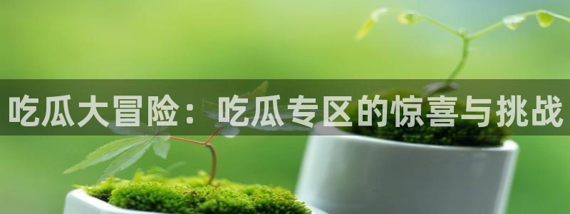 吃了坏瓜怎么办:吃瓜大冒险:吃瓜专区的惊喜与挑战