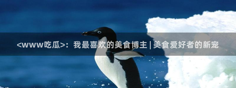 51全网更新最快最全的吃瓜网:<www吃瓜>:我最喜欢的美食博主 | 美食爱好者的新宠