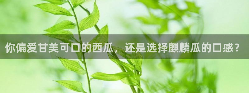 51吃瓜今日吃瓜入口最新:你偏爱甘美可口的西瓜,还是选择麒麟瓜的口感?